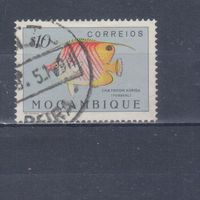 [886] Португальский Мозамбик 1951. Фауна.Рыба.0,10 э. Гашеная марка.