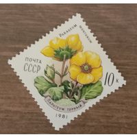 Марка СССР 1981 цветы ромб