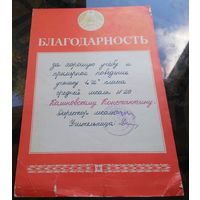 Благодарность Бобруйск 20-я школа