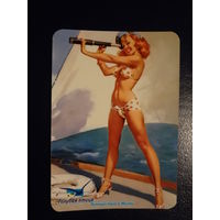 Календарик 2005 г.  Голубая птица. Путешествие в мечту.