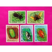 Куба. Жуки. ( 5 марок ) 1988 года. 2-14.