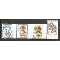 Сомали 1994 Флора Грибы   MNH
