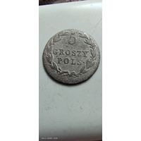5 грош Польша