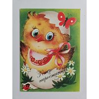 Кацарова 1991 Редкая чистая Украина