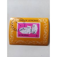 СТРОМА.Кошки. Блок