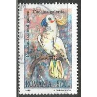 Румыния. Птицы. Попугай. 1999г. Mi#5408.