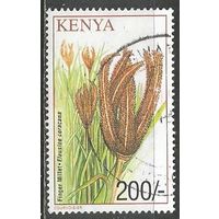 Кения. Алевсина каракан. 2001г. Mi#760.