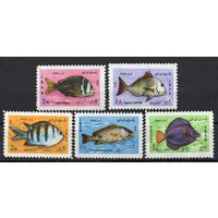 Иран 1973. Рыбы 5 марок (1618)