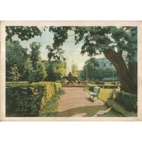 Чистая открытка 1960г. БССР "Гомель. В парке культуры и отдыха" фото М. и А. Ананьиных