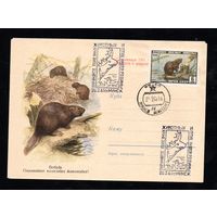 Конверт (ХМК N 1286) СССР со спецгашением 1961 года