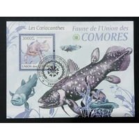 ЛИСТ ФАУНА рыбы морские обитатели  СТО