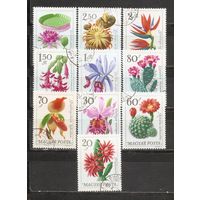 ФФ2 Венгрия 1965 Цветы гаш