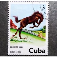 Марка Куба 1981 Лошадь