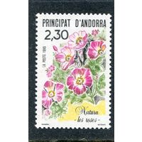 Андорра французская. Цветы. Розы