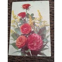 Цветы.фото Дергилева. 1990г