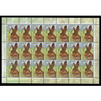 Беларусь. 2008. Стандарт. Заяц-русак (300р) (з.372-2008) Лист