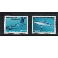Новая Каледония-1981(Мих.659-660) **  , Морская  Фауна,(полная серия)