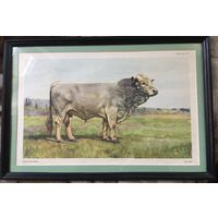 Сталинская литография 1955