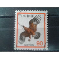 Япония, 1973. Беркут