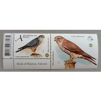 Сокол (из серии). Марка с купоном. Беларусь, 2021