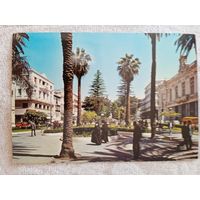 Алжир. Площадь Революции