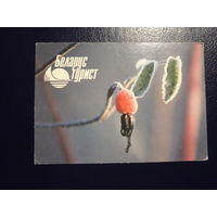 Календарик 2002 г.  Беларустурист.