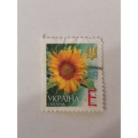 Марка шестого стандартного выпуска 2004 года - Подсолнечник однолетний (Helianthus annuus)