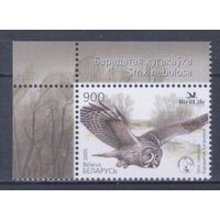 [1457] Беларусь 2005. Фауна.Птица года.Сова. Одиночный выпуск. MNH