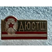 Значок ДЮСТШ.