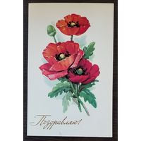 Открытка Поздравляю (маки), 1978 г, чистая