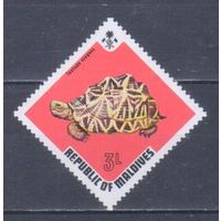 [2441] Мальдивы 1973. Фауна.Черепаха. MNH