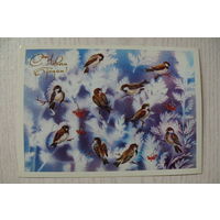 Соколова А., С Новым годом! 1989, чистая (птицы, воробьи, рябина).