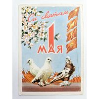Зеленов 1960 1 мая открытка белорусская БССР Беларусь РЕДКАЯ