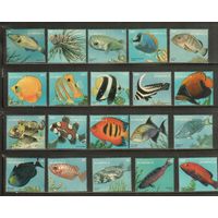Доминика-1996(Мих.2201-2220) , **  , Морская  Фауна ,Рыбы(полная серия)