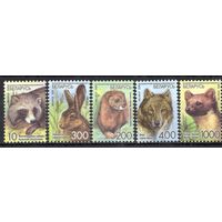 Беларусь 2008.Стандарт. Фауна.Звери. Бумага офсетная. 5 марок 724-28 (423)