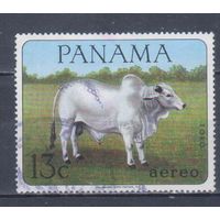 [148] Панама 1967. Фауна.Домашние животные.Зебу. Гашеная марка.