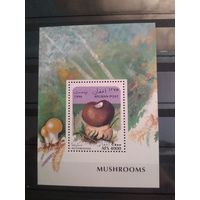 Афганистан 1996г. Грибы.