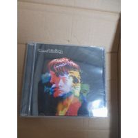 THE SHINING (ex- THE VERVE) "TRUE SKIES" CD