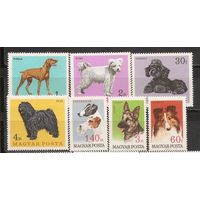 ФФ2 Венгрия 1967 Собаки