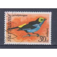 [1225] Суринам 1977. Фауна.Птицы. Гашеная марка.