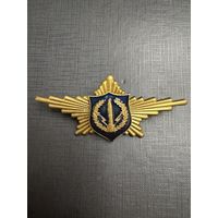 Знак Парадный Расчет РВСМ (ракетные войска)