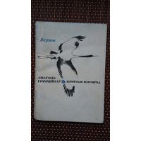 Анатоль Грачанікаў. Круглая плошча