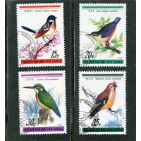 КНДР. Фауна. Птицы