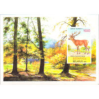 1995 БЕЛАРУСЬ   блок коллекционных марок Олень MNH