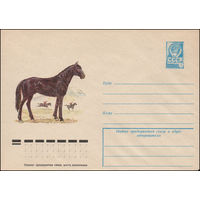 Художественный маркированный конверт СССР N 12410 (27.10.1977) Лошадь кабардинской породы