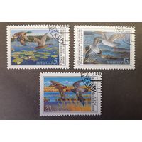 СССР. 1990 год. Фауна. Птицы. Утки. 3 марки