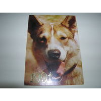 Календарик 1991 Собака Лайка