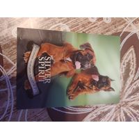 Календарик,реклама,2007