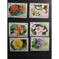 Куба 1997 г. Цветы.