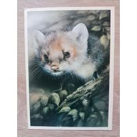 Исаков 1989,чистая